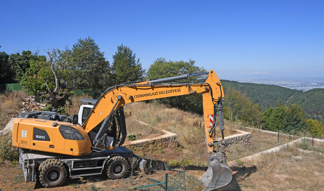 SÜMEYYENUR ALP – TEKHA
