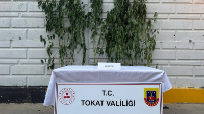 SÜMEYYENUR ALP – TEKHA Jandarmadan