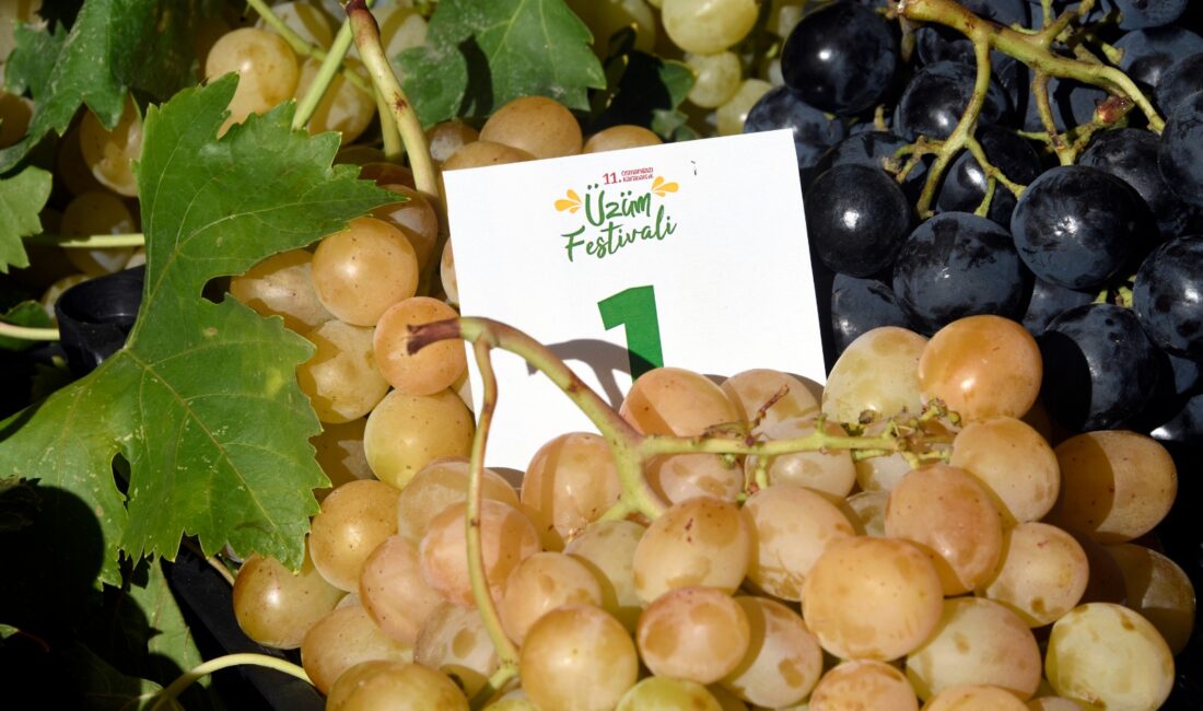 SÜMEYYENUR ALP – TEKHA