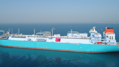 SÜMEYYENUR ALP – TEKHA Türkiye,