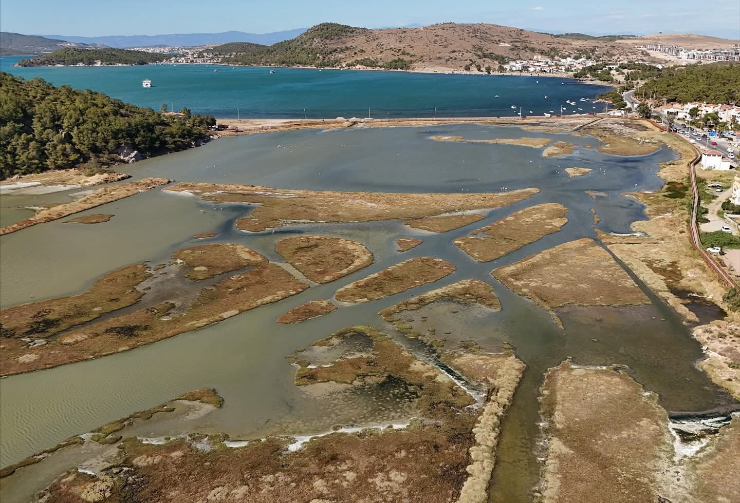 Ayvalık’ta Dünya Temizlik Günü’nde Sulak Alan Temizliği Yapıldı