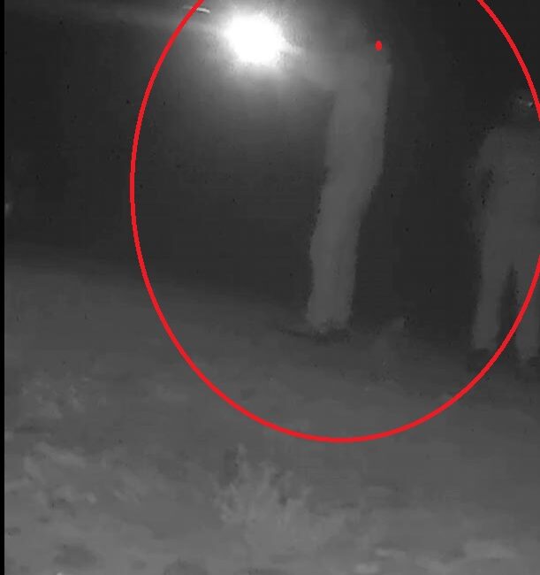Bartın’da Bozayıyı Kaçak Avlayan 2 Kişi Hakkında Yasal İşlem Başlatıldı BARTIN / TEKHA Bartın’ın