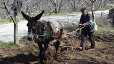 ADİL AKA – MANİSA /