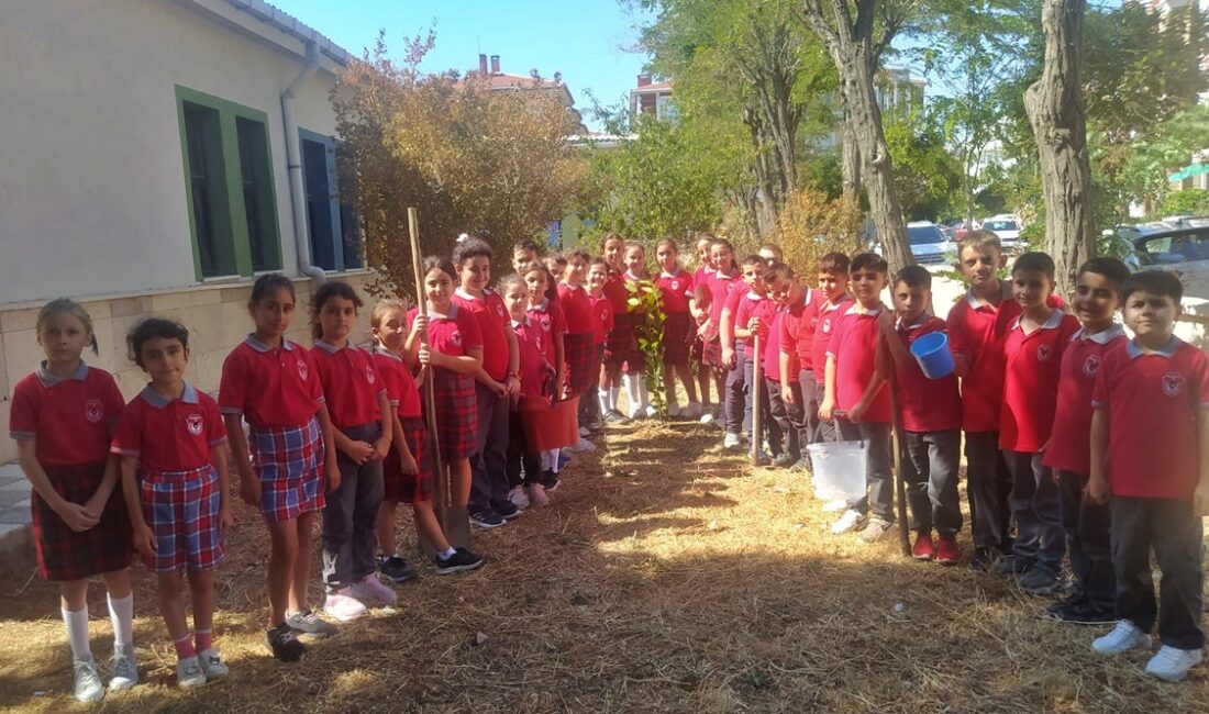 DOĞAN ZELOVA- GELİBOLU /