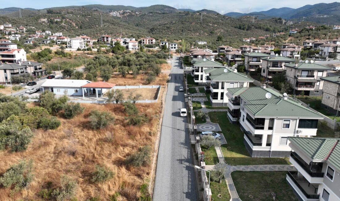 SÜMEYYENUR ALP – TEKHA