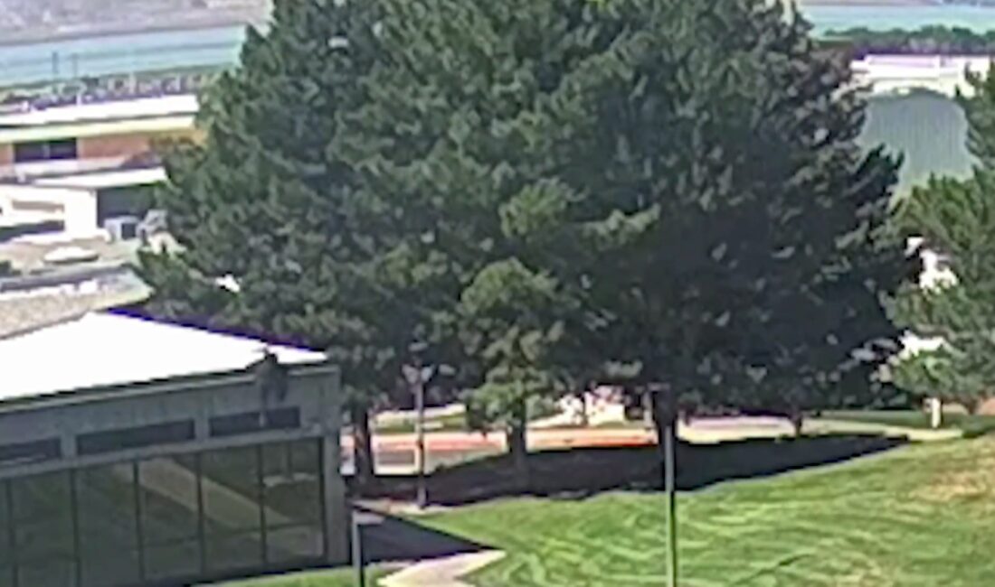 ABD / TEKHA Amerikan