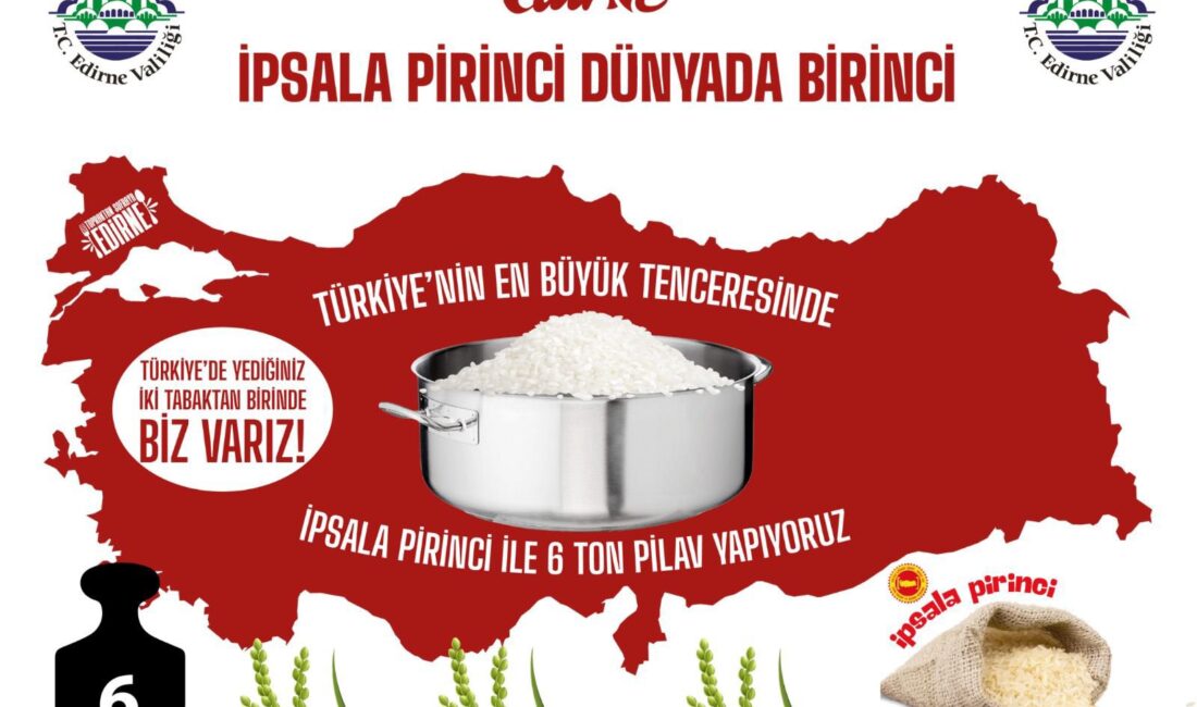 SÜMEYYENUR ALP – TEKHA