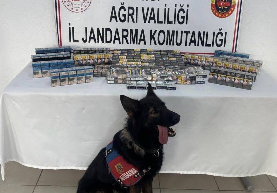 Servet ARSLAN/AĞRI-TEKHA Ağrı Valiliğinden