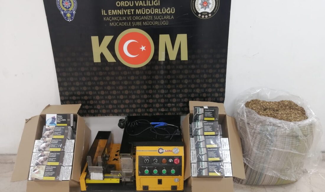 SÜMEYYENUR ALP – TEKHA