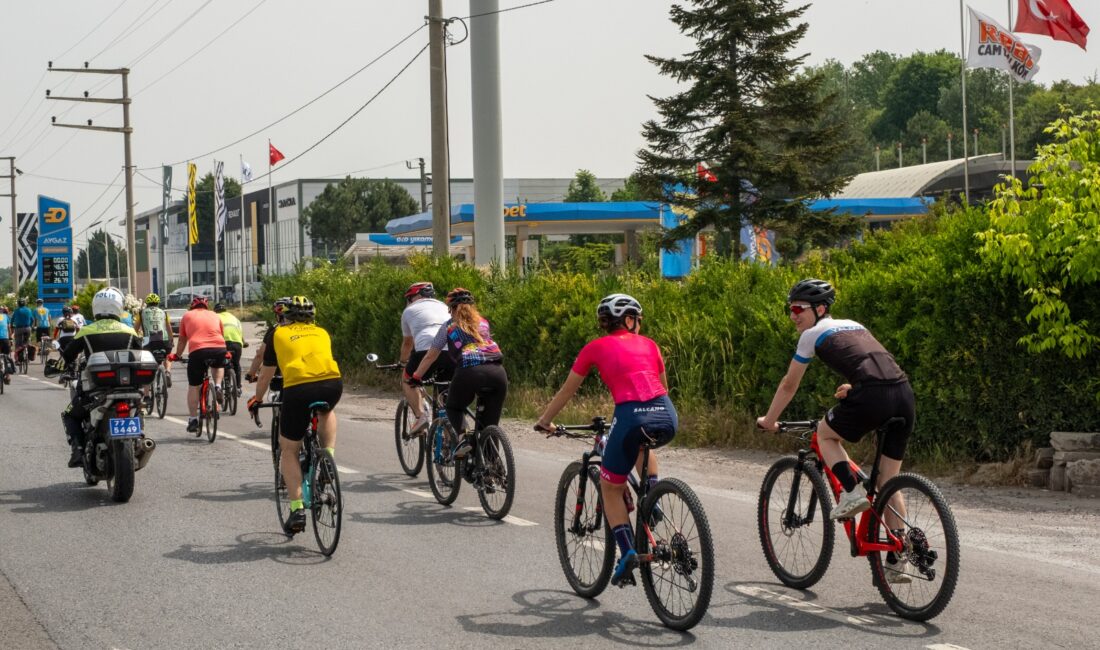 SÜMEYYENUR ALP – TEKHA