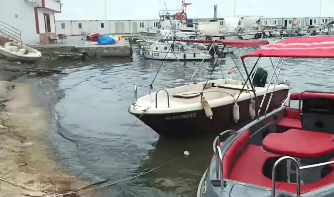 YALOVA / TEKHA Çevre,