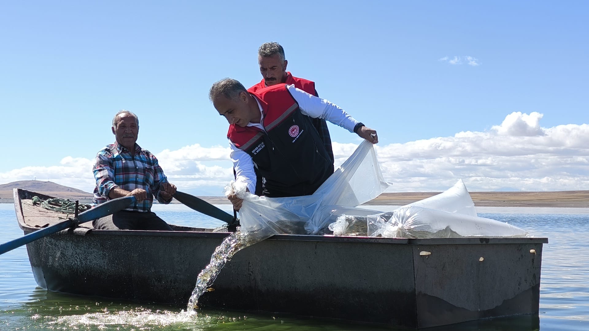 Kars’ta Baraj ve Göletlere 500 Bin Yavru Sazan Bırakıldı