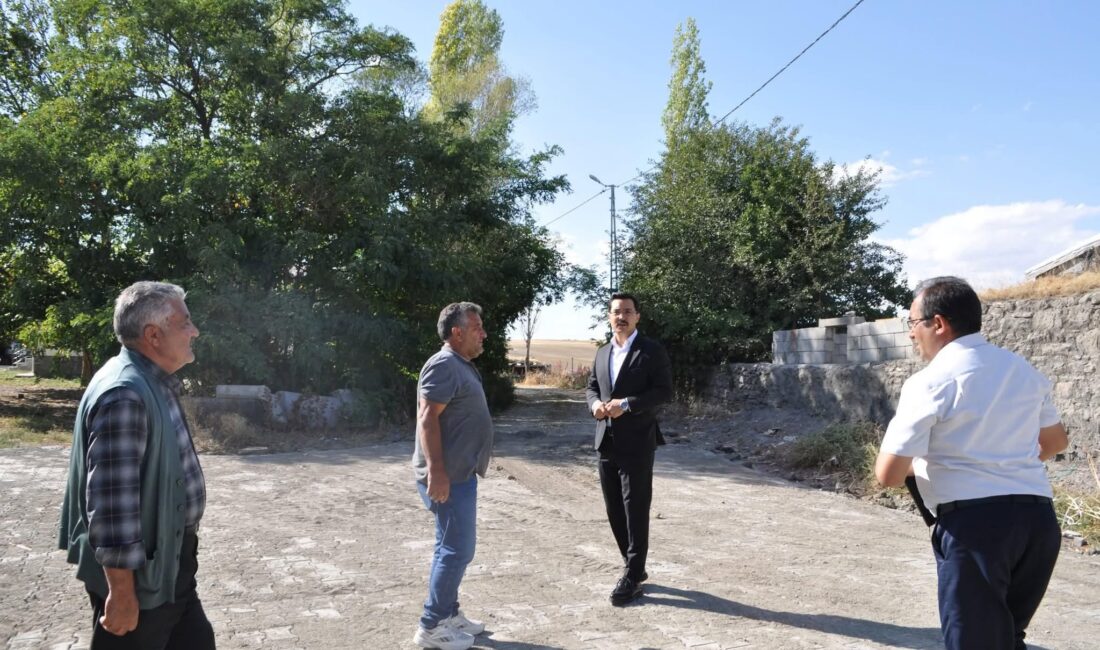 Kaymakam Demirtaş,Çetindurak Köyü’nde Çalışmaları İnceledi CEM DAŞDELEN- KARS /