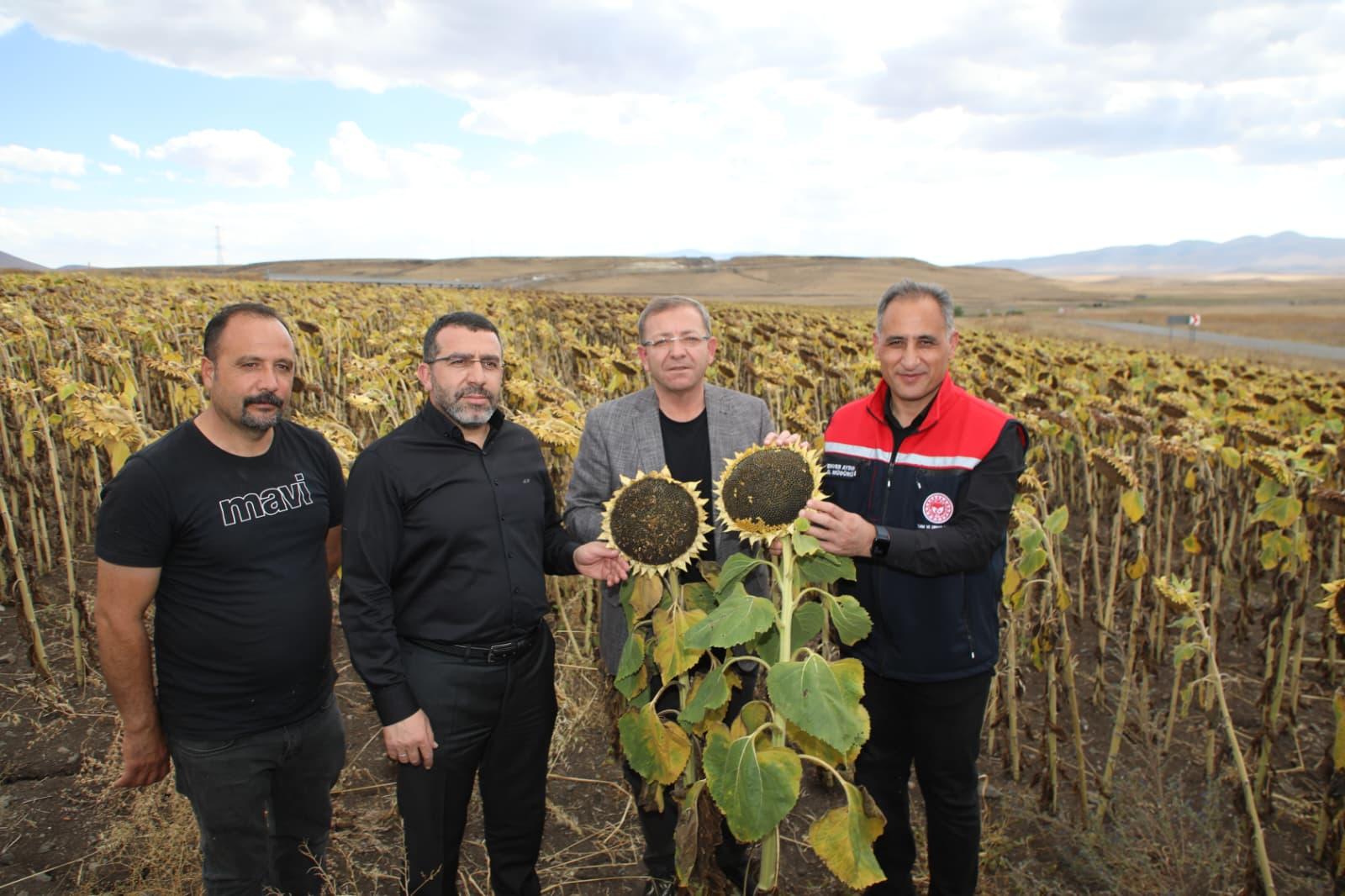 Tarla Günü Gerçekleştirildi: Ayçiçeği Üretimine ve Verimliliğe Büyük Destek