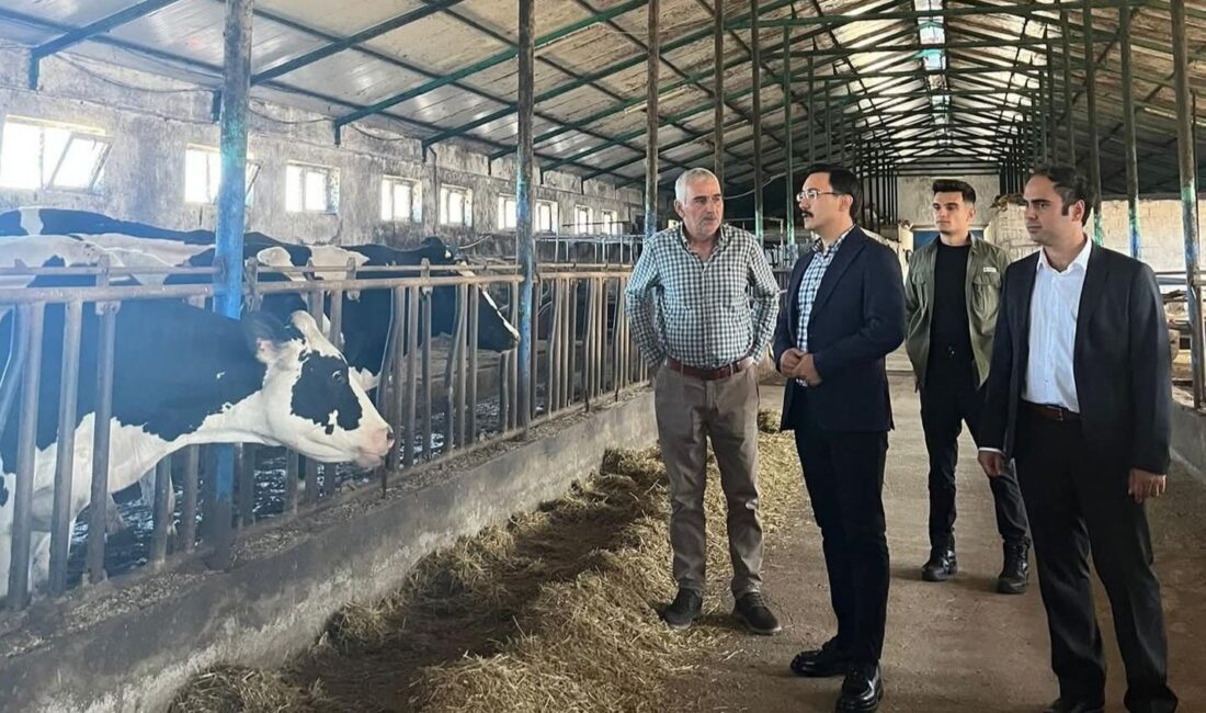 CEM DAŞDELEN- KARS /