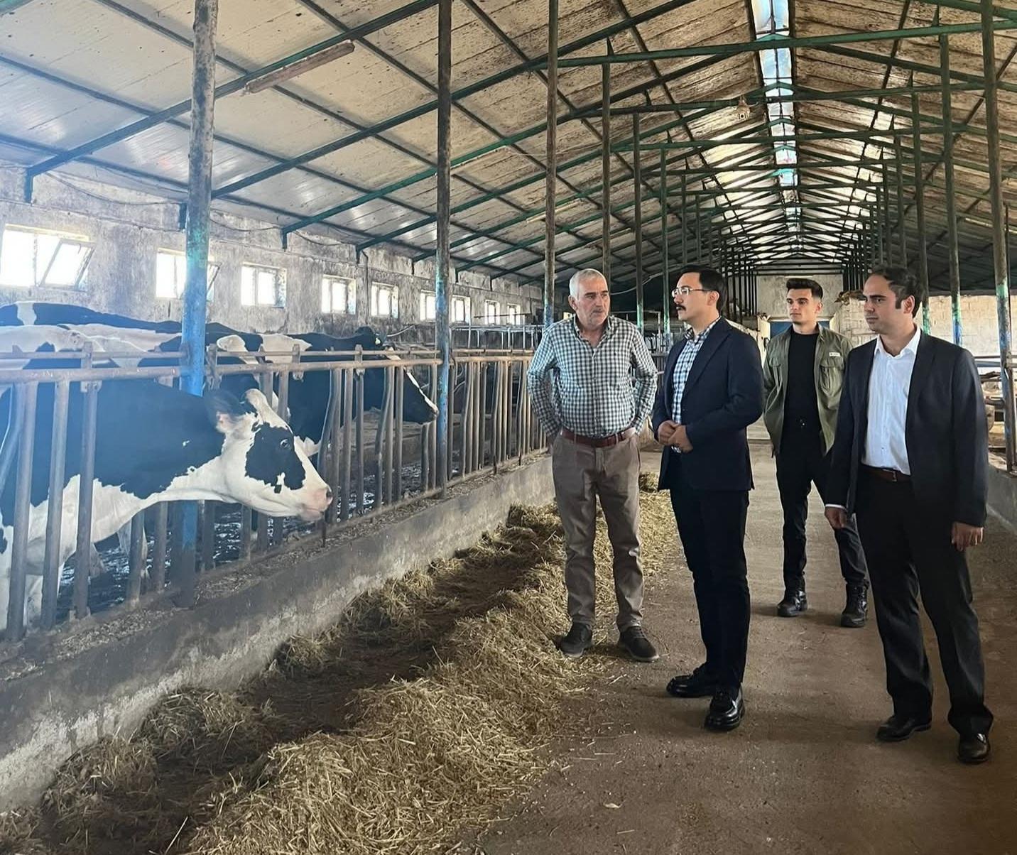 Kaymakam İsmail Demirtaş’tan Hayvan İşletmesine Ziyaret