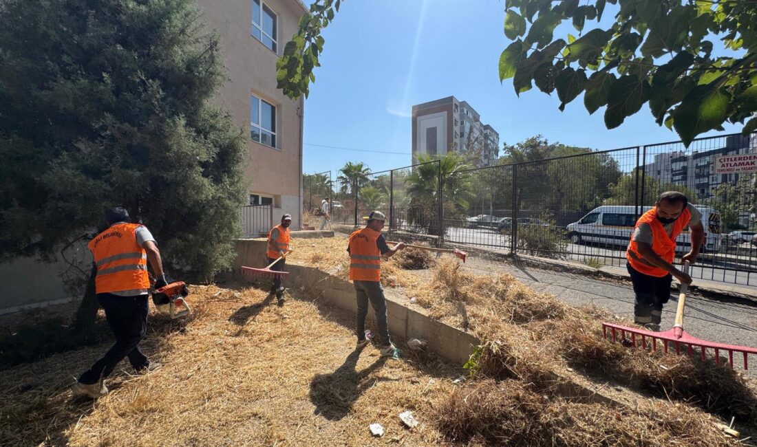 SÜMEYYENUR ALP – TEKHA