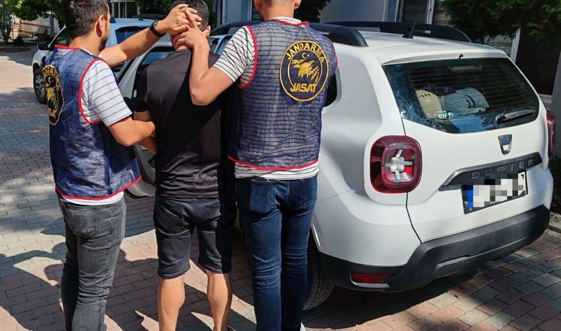 SÜMEYYENUR ALP – TEKHA