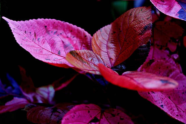 Bitkisel Üretimde Yeni Destekleme Kararları Açıklandı