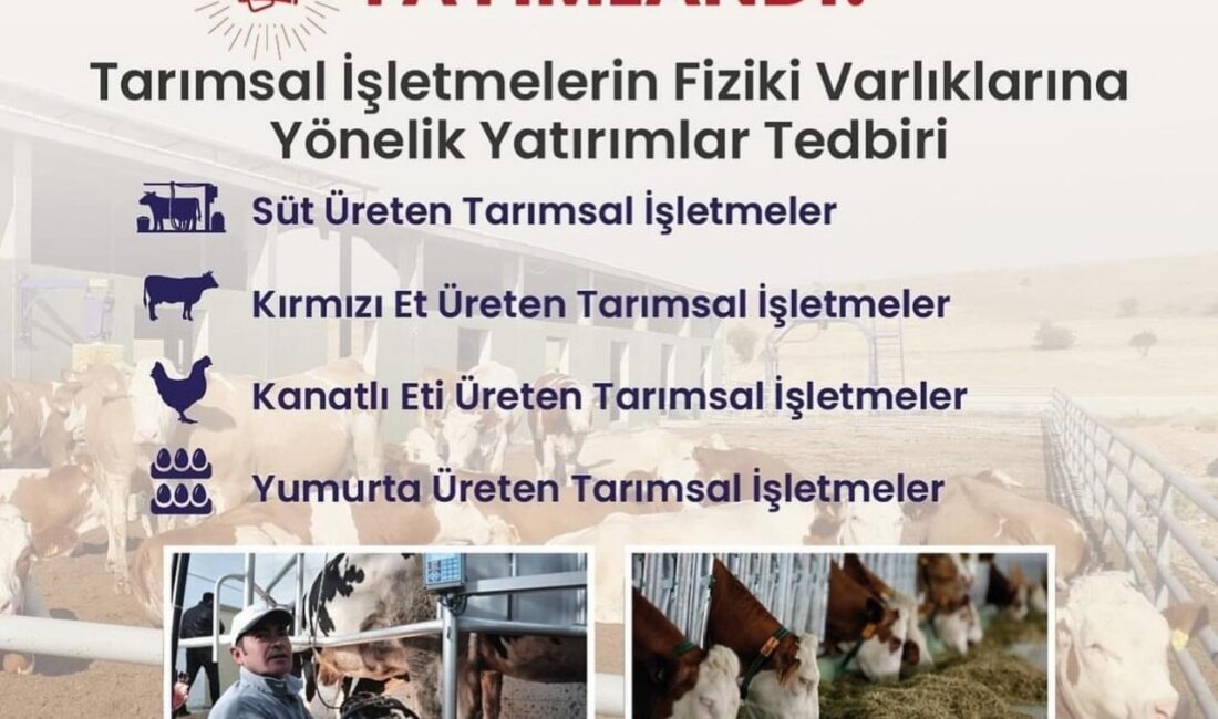SÜMEYYENUR ALP – TEKHA