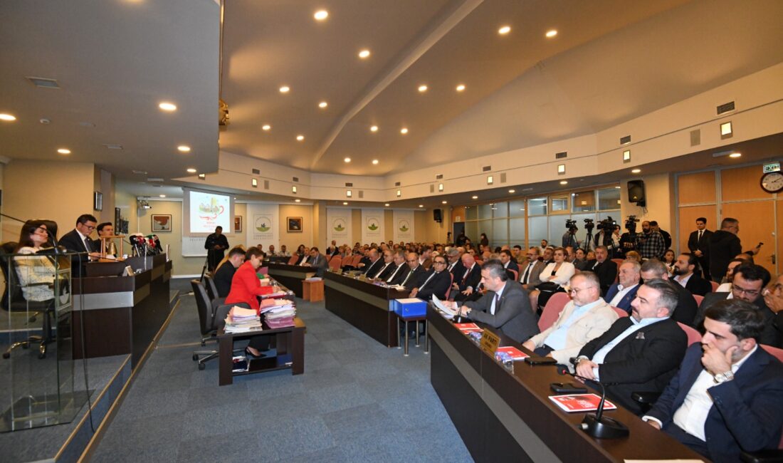 BURSA / TEKHA Osmangazi