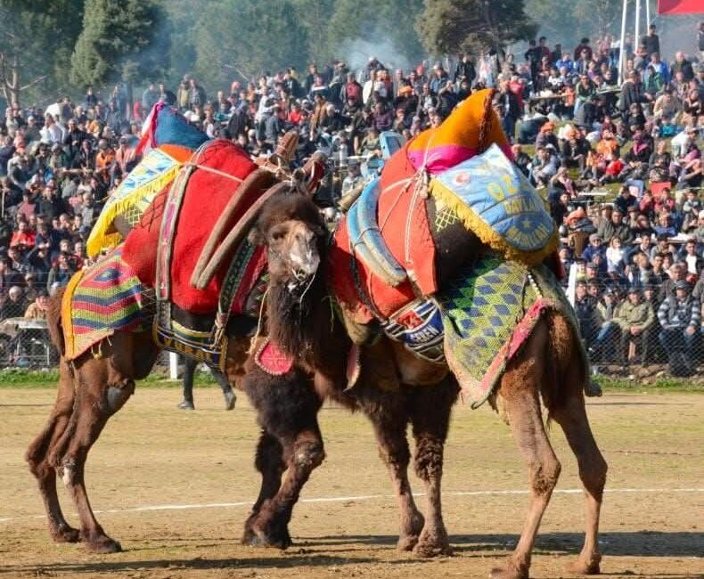 ADİL AKA Çırpı-Bayındır-İzmir/TEKHA İzmir