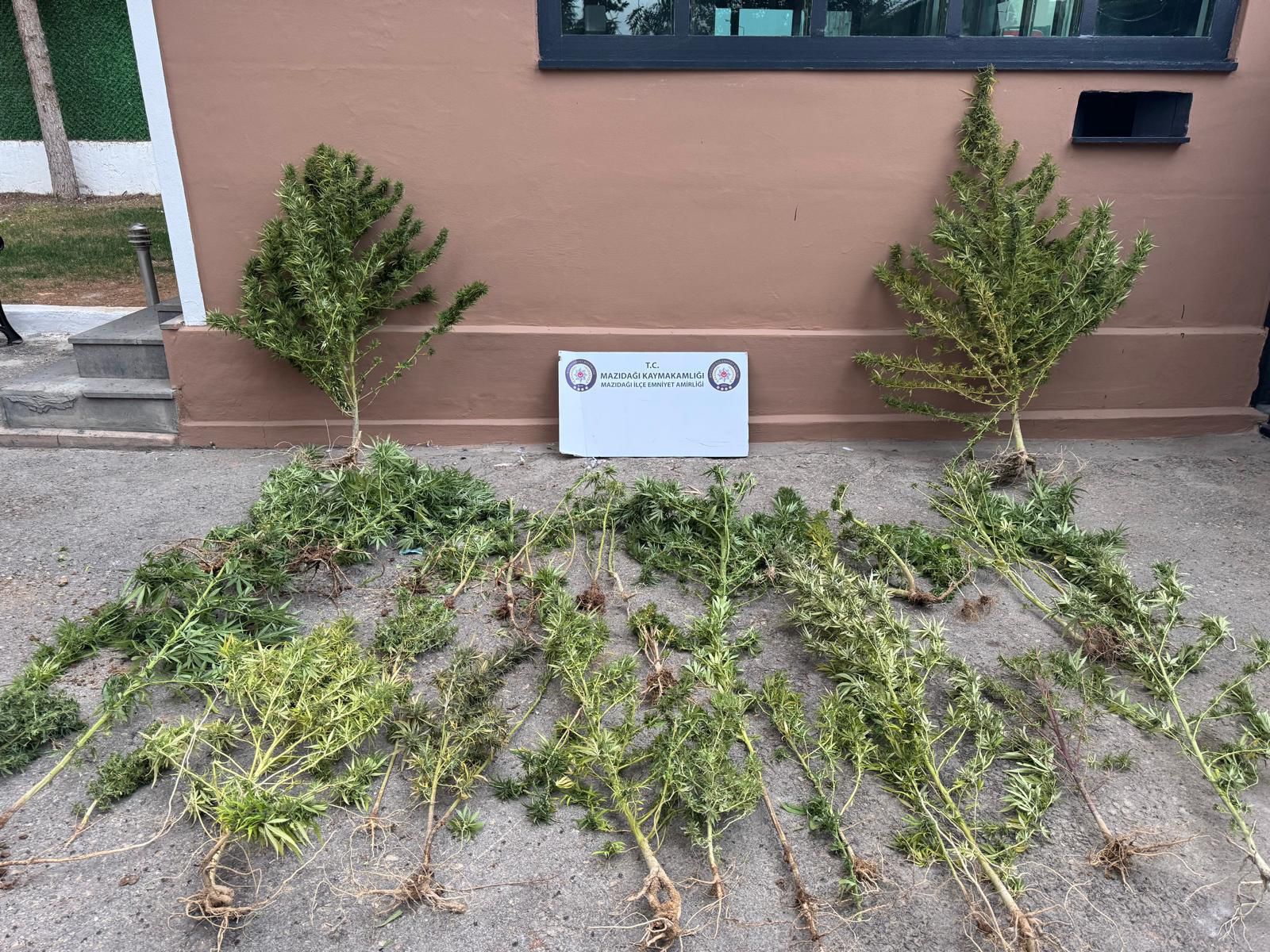 Mardin’de Uyuşturucu Operasyonu: 3 Şüpheli Yakalandı