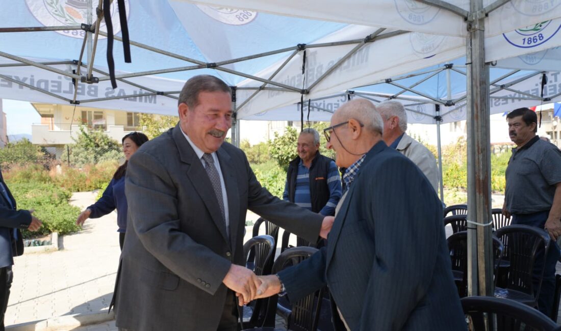 MUĞLA / TEKHA Milas