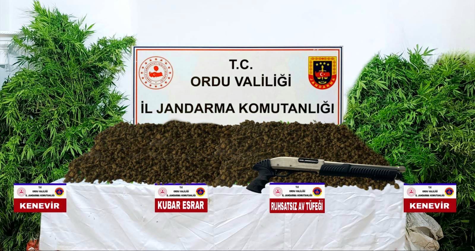 Ordu’da Jandarma 1 Haftada 48 Aranan Şahsı Yakaladı