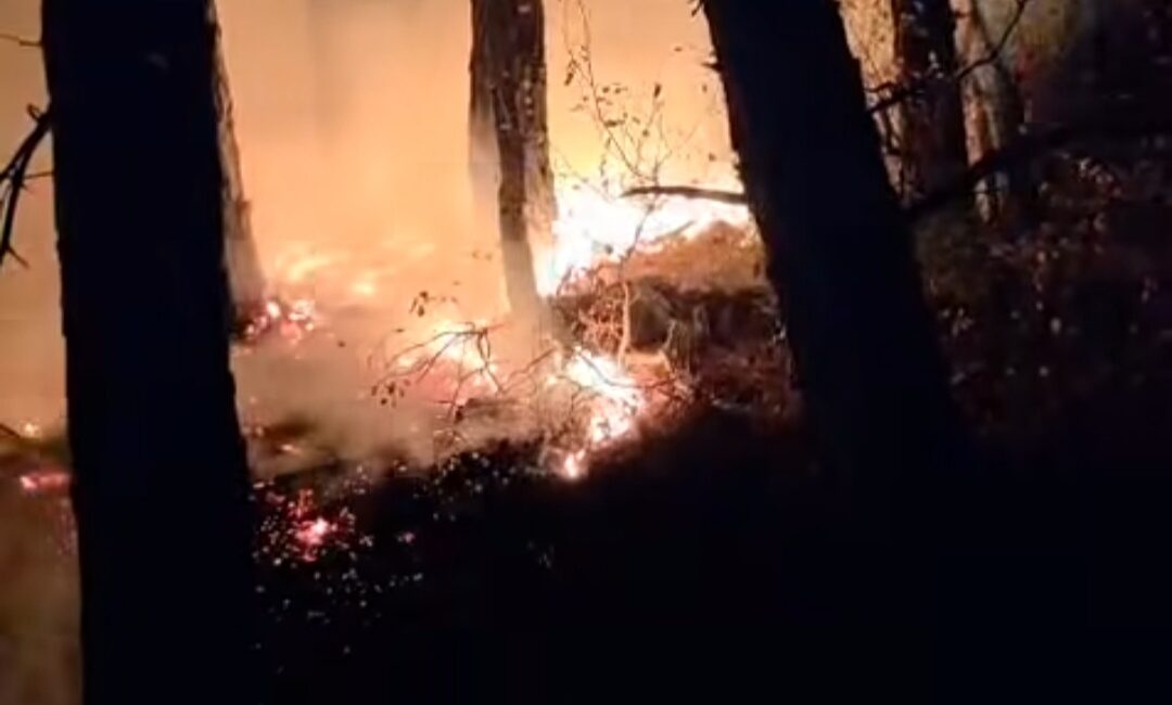 Hüseyin ZORKUN – HATAY