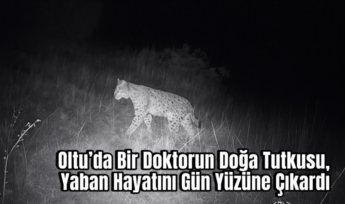 FURKAN GÜN – ERZURUM