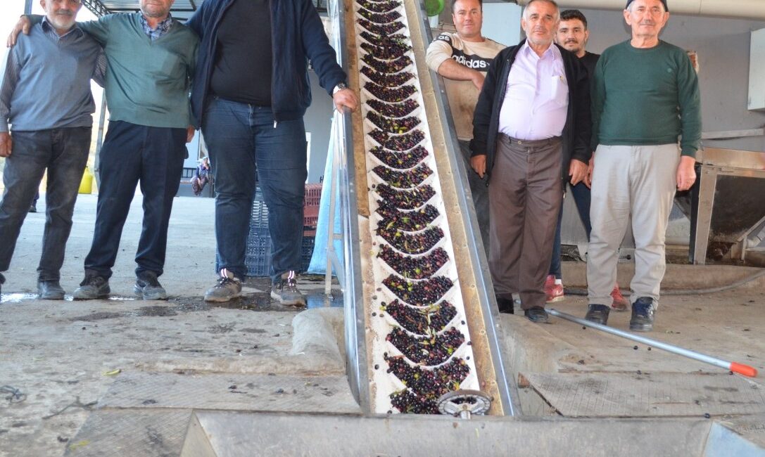 Demi̇rci̇’de Zeyti̇nyağı Fabri̇kası Tatlı Bi̇r Telaş İçi̇nde ADİL AKA – DEMİRCİ
