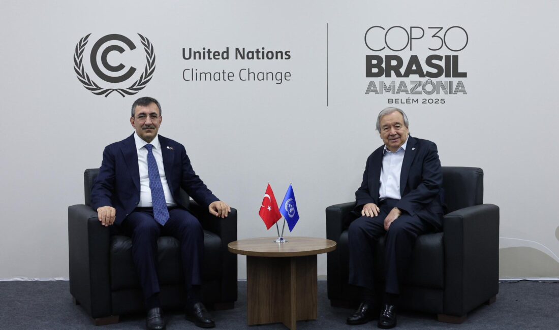 Cumhurbaşkanı Yardımcısı Cevdet Yılmaz,