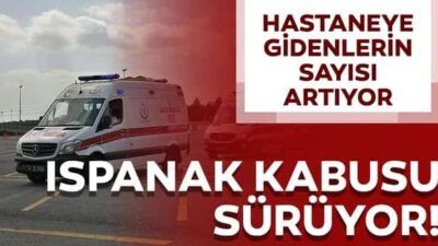 Van Erciş’te Ispanak Zehirlenmesi: 15 Kişi Hastanelik Oldu