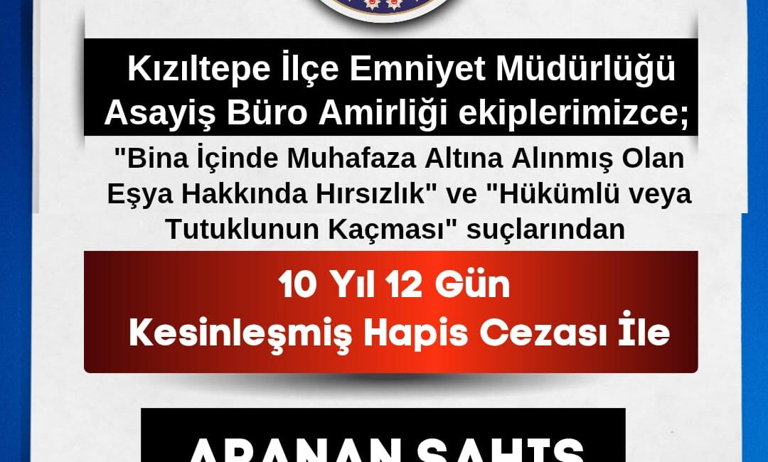 MARDİN / TEKHA Hırsızlık