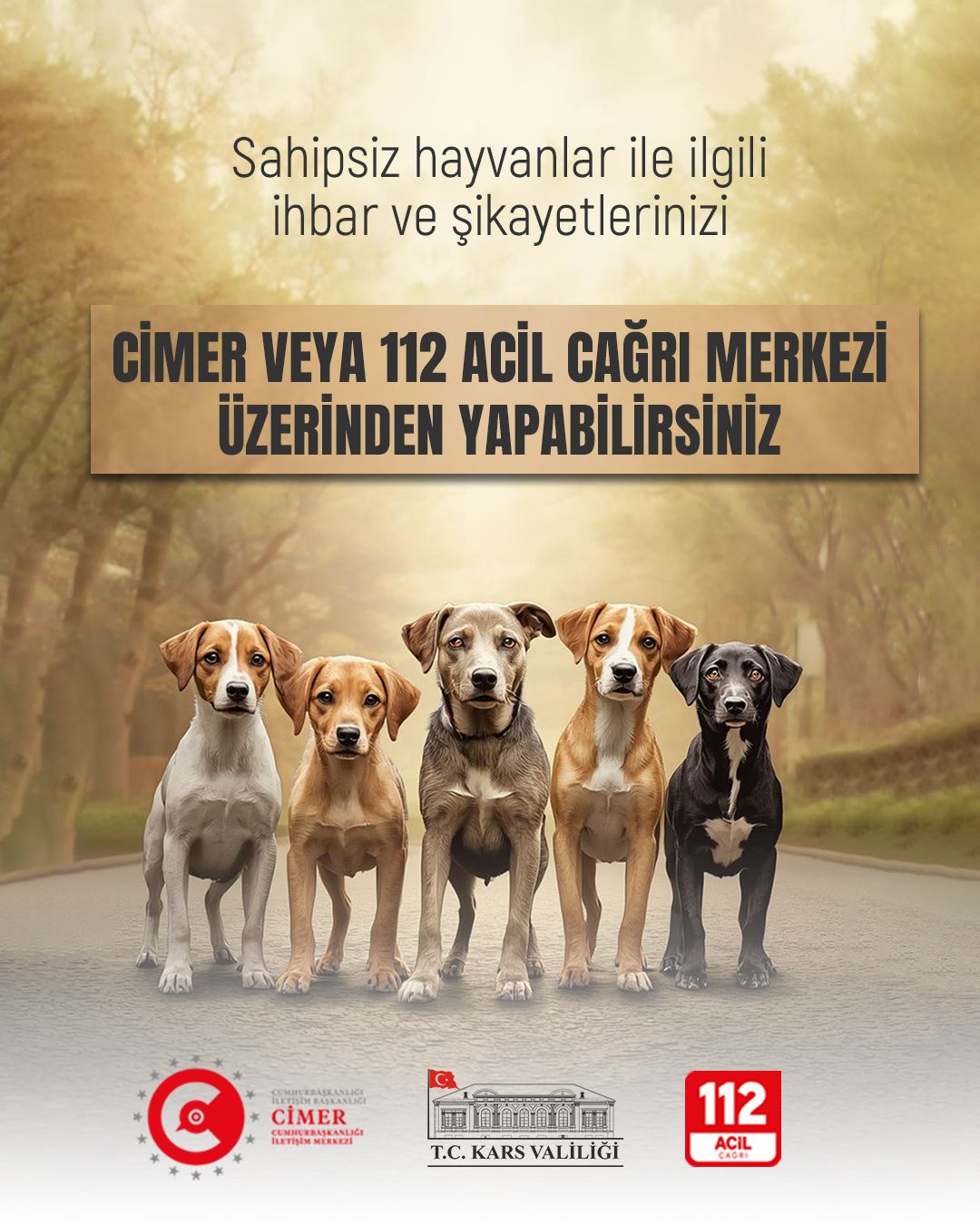 Kars Valiliği’nden Sahipsiz Hayvanlar İçin Önemli Duyuru