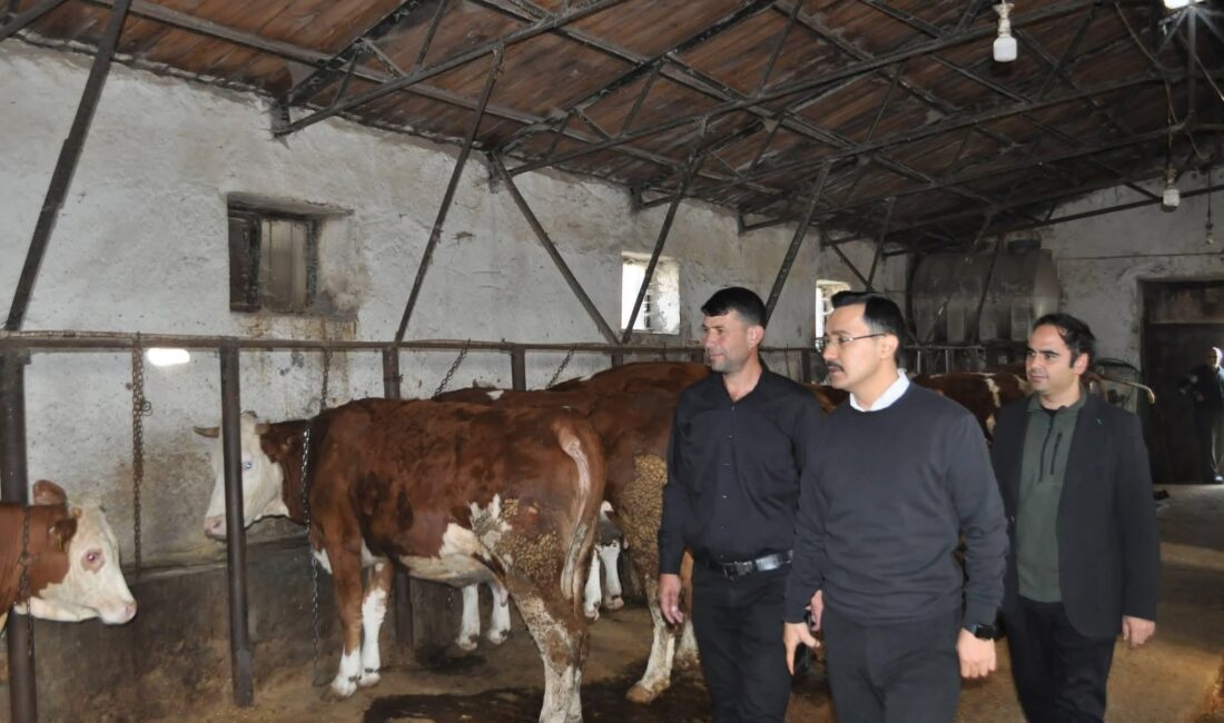 Akyaka Kaymakamı İsmail Demirtaş’tan Küçükdurduran Köyündeki Hayvan İşletmesine Ziyaret CEM DAŞDELEN- KARS /