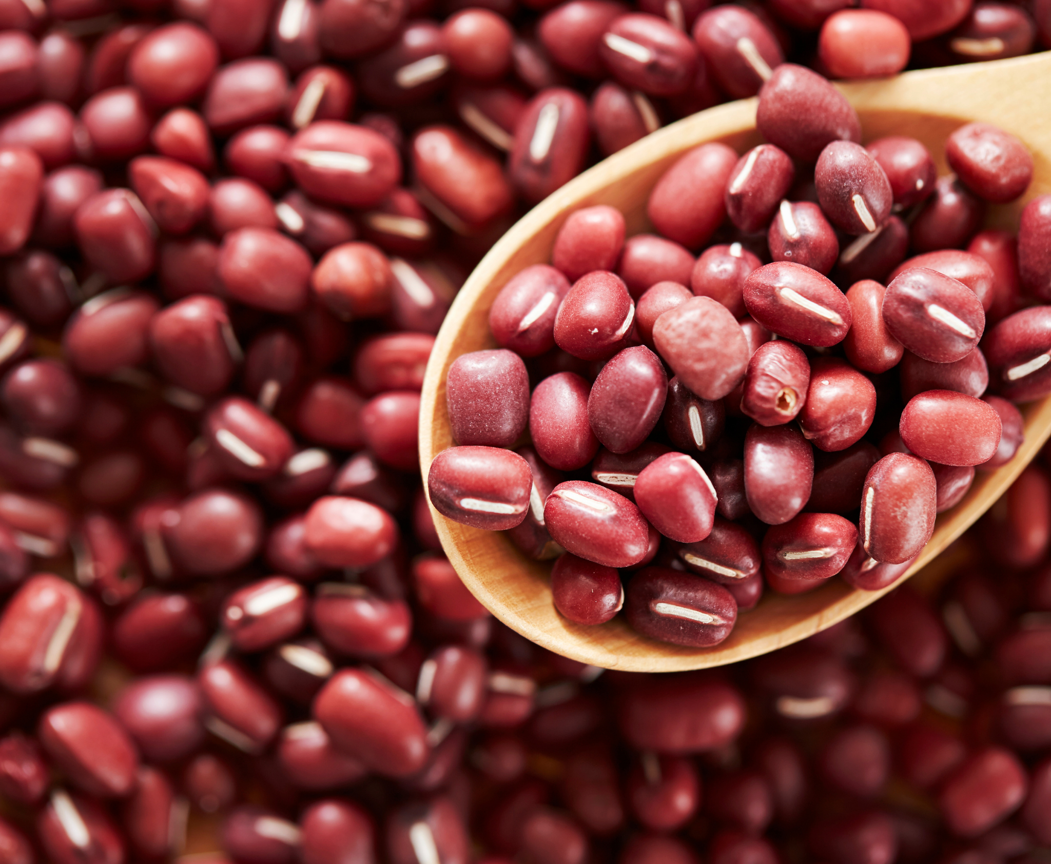 Kuru Fasulye Krizi Yalanı: Resmî Açıklama ile Dezenformasyon Çürütüldü