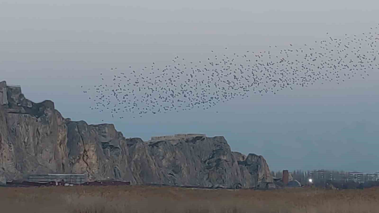Gökyüzünde Görsel Şölen: Van Kalesi’nde Sığırcık Dansı