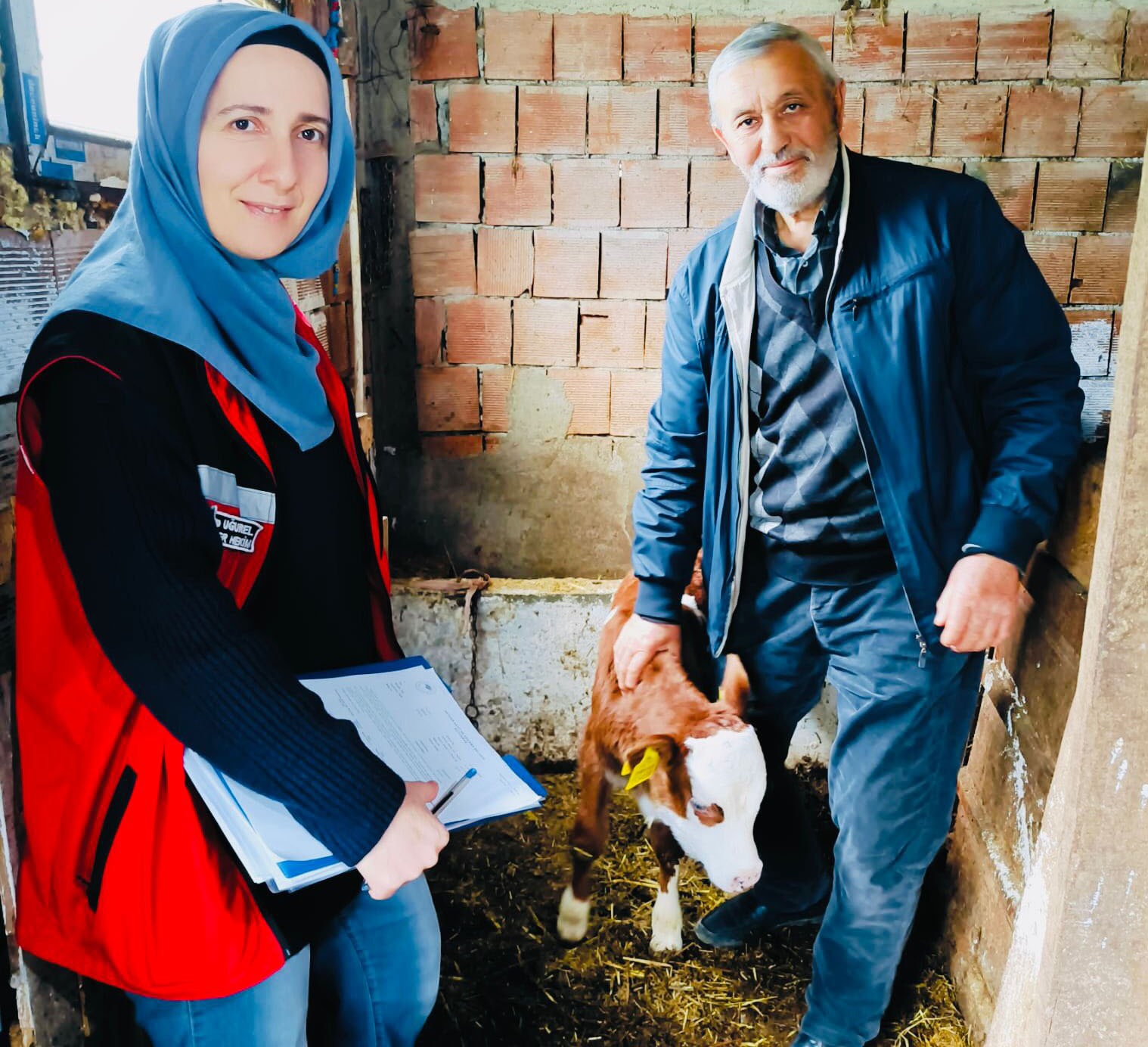 Yalova’da Gebe İnek Ve Sağlıklı Buzağı Projesi Başladı