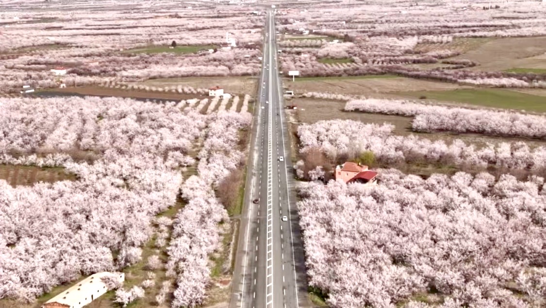 Vali Seddar Yavuz, çiçek açan