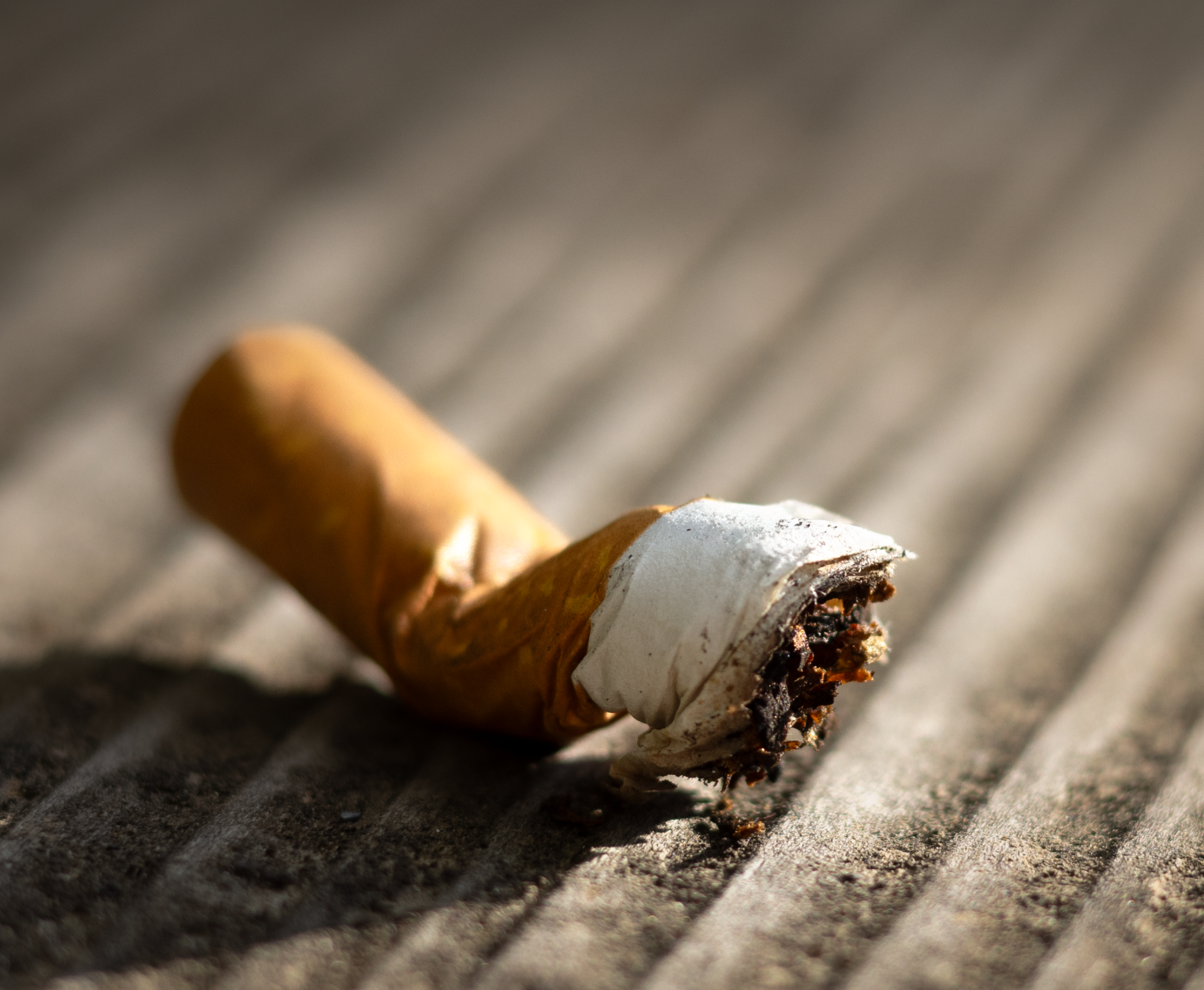 Diyarbakır’da Faili Meçhul Cinayeti Sigara İzmaritindeki DNA Çözdü