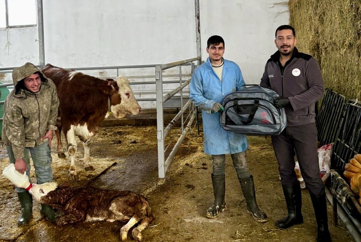 Cem Parlak – Malatya/TEKHA Malatya’da