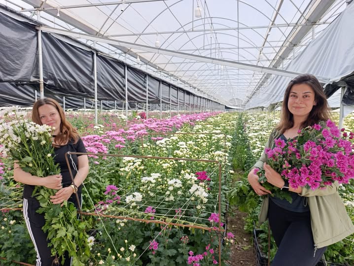 ADİL AKA /SİMAV-KÜTAHYA-TEKHA Kütahya Simav’da