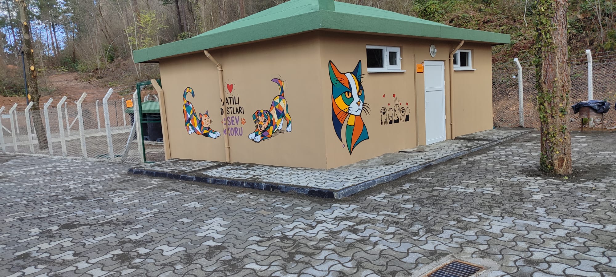 Ünye’de Sahipsiz Hayvanlar İçin Modern Tesis: “Can Dostlar Mavi-Yeşil Doğal Yaşam Alanı” Tamamlanıyor