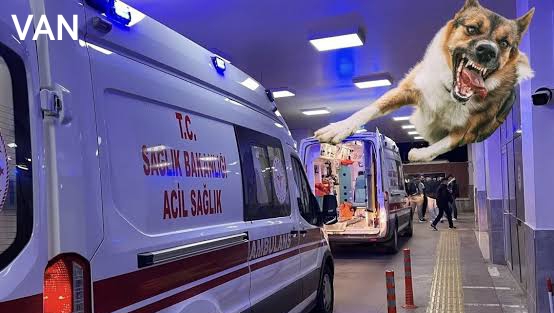 SUAT BARAN – VAN /