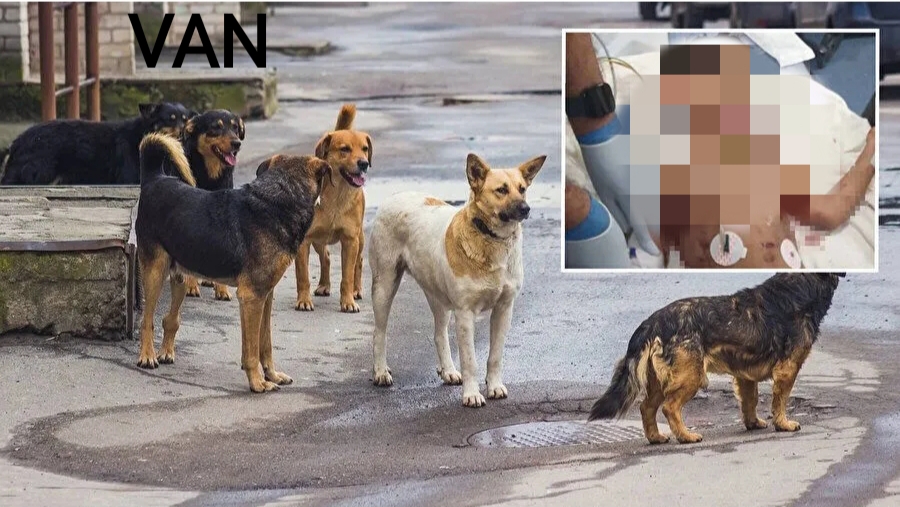 SUAT BARAN – VAN /