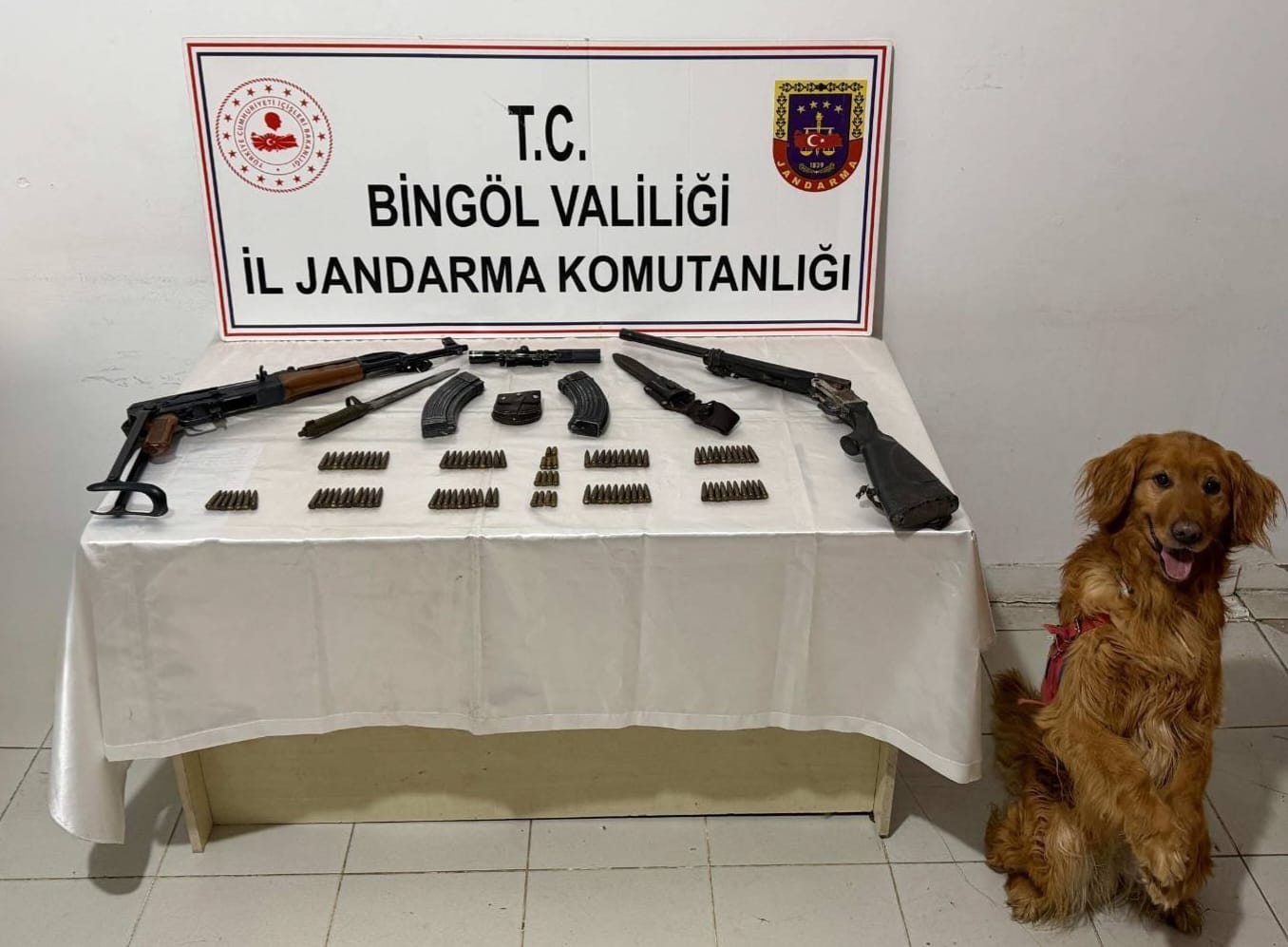 BİNGÖL / TEKHA BİNGÖL’ün Karlıova