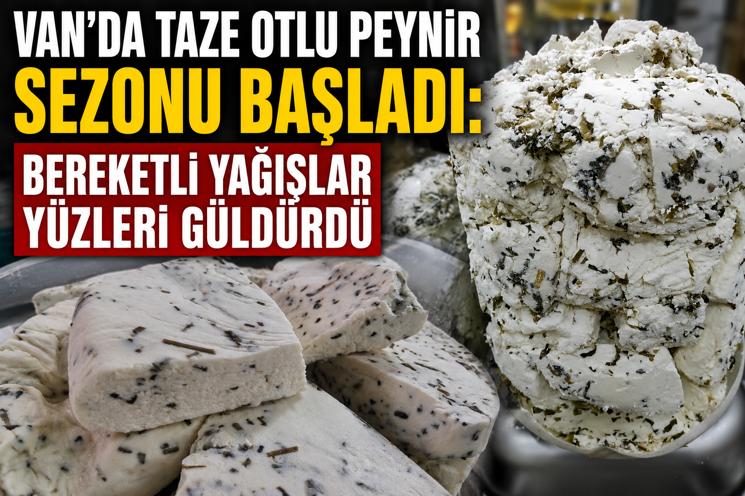 SUAT BARAN – VAN /