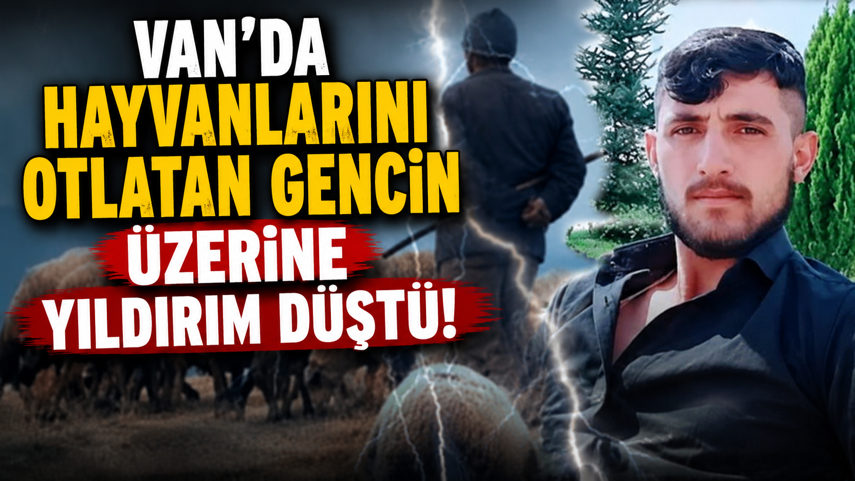 Van’ın Gürpınar ilçesinde küçükbaş hayvanlarını